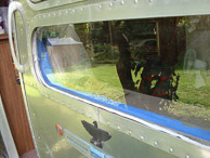 vv-p01